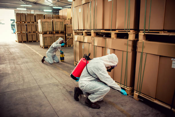 Best Termite Control Services  in Lucas, TX