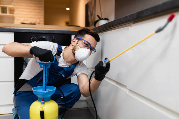 Best Best Pest Control Companies  in Lucas, TX