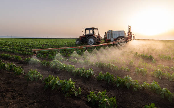 Best Pest Control for Businesses  in Lucas, TX