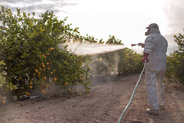 Best Residential Pest Control  in Lucas, TX