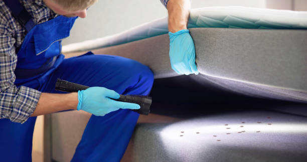 Best Affordable Exterminators  in Lucas, TX