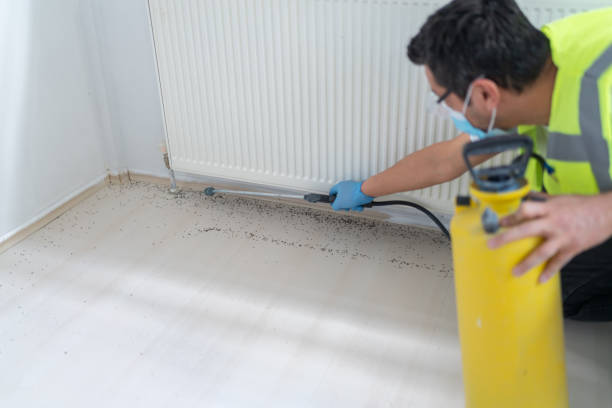 Best Exterminator Services  in Lucas, TX