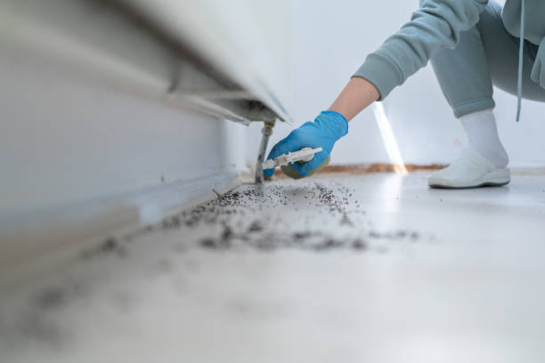 Pest Control for Restaurants in Lucas, TX