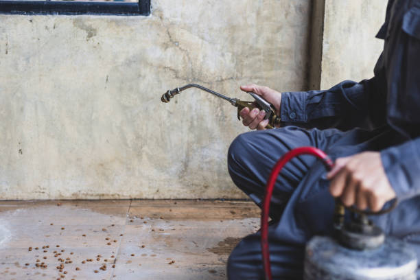 Best Pest Control Near Me in Lucas, TX